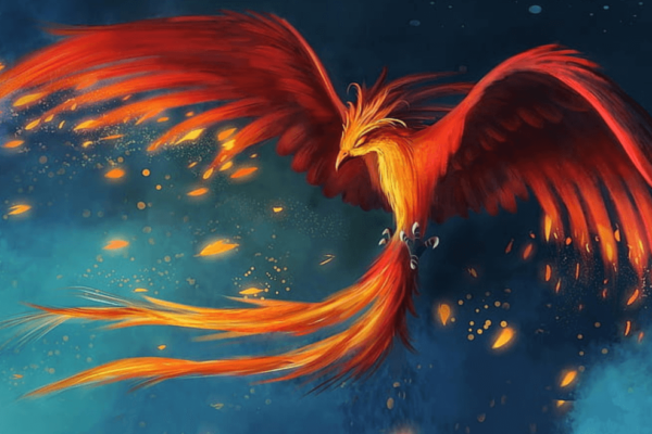 Wallpaper:2z1-Cdyt99a= Phoenix